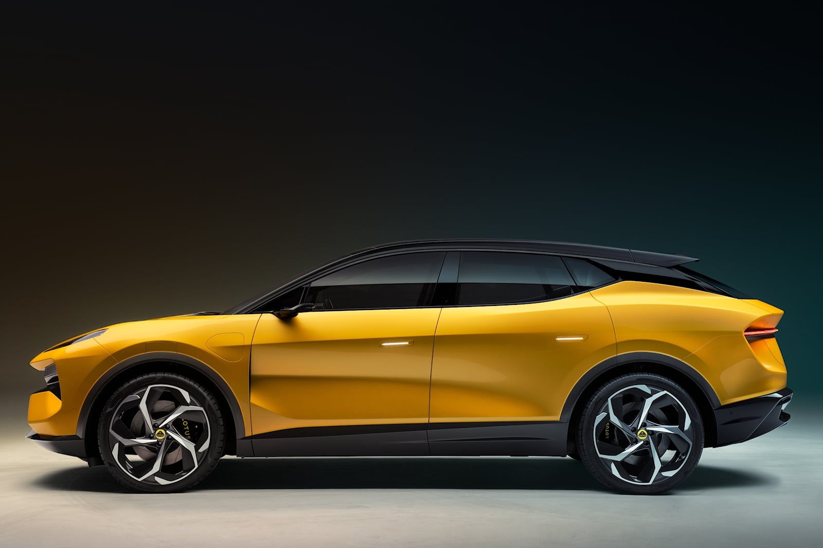 lotus