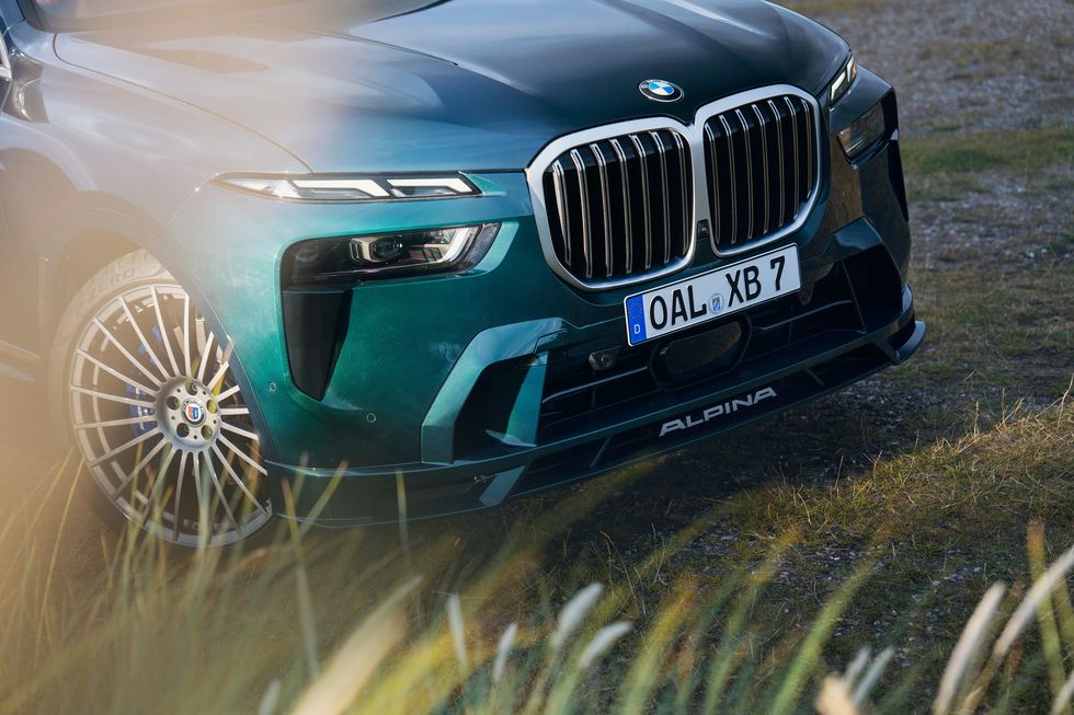 البينا-xB7-مقدمة-وشبك-كلوي