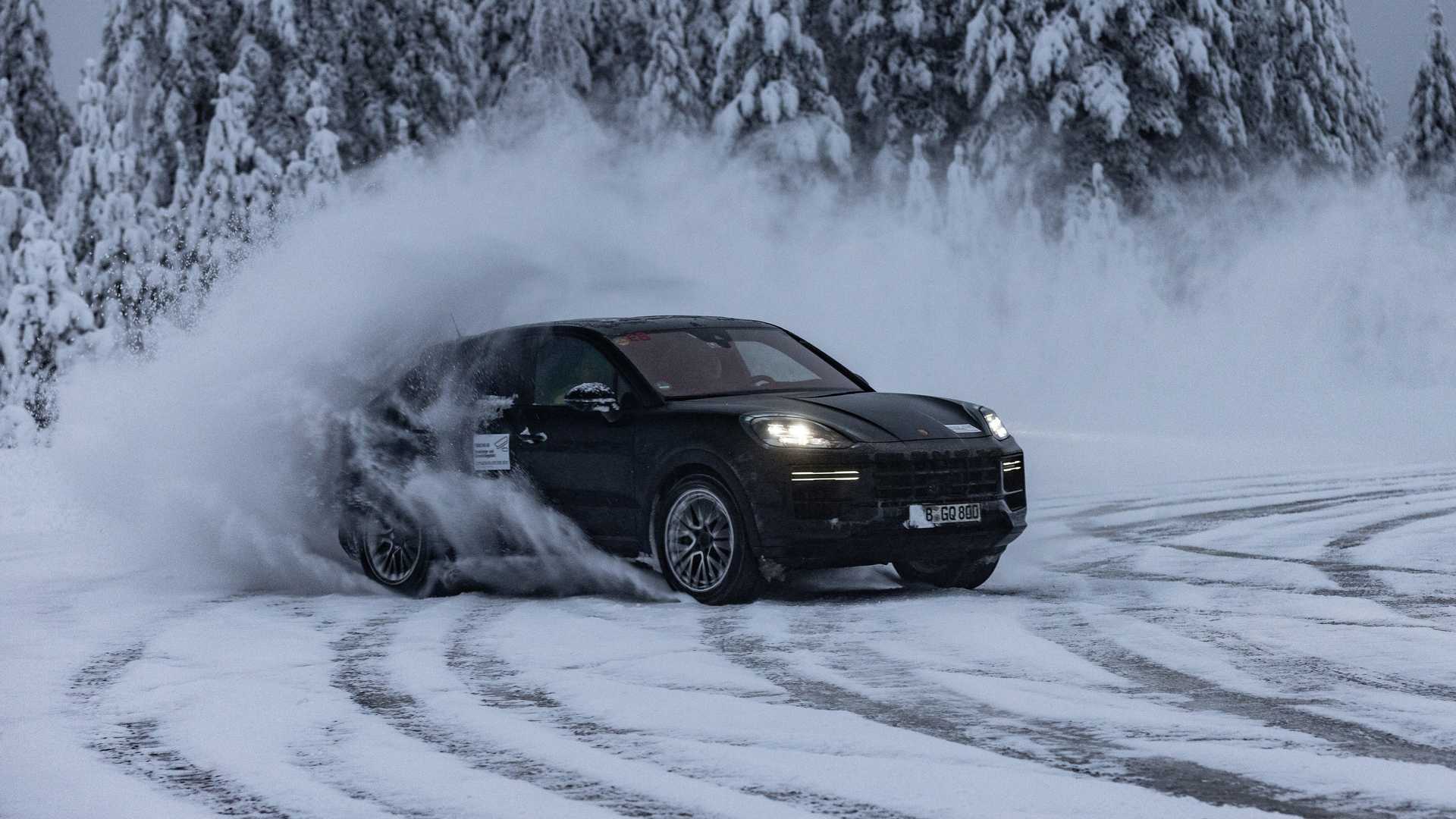 Cayenne 