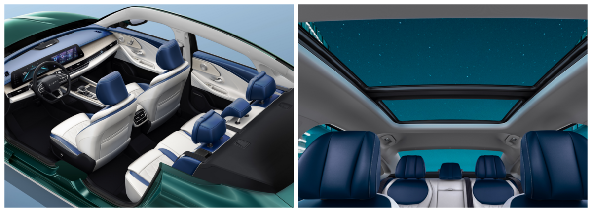 arrizo 8 pro 2024 model roof